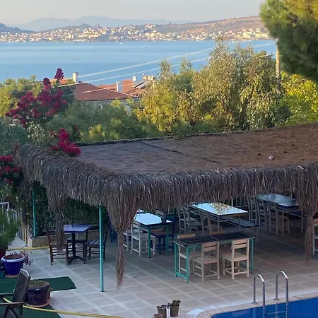 Tunc Ayvalik