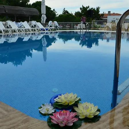 Tunc Ayvalik